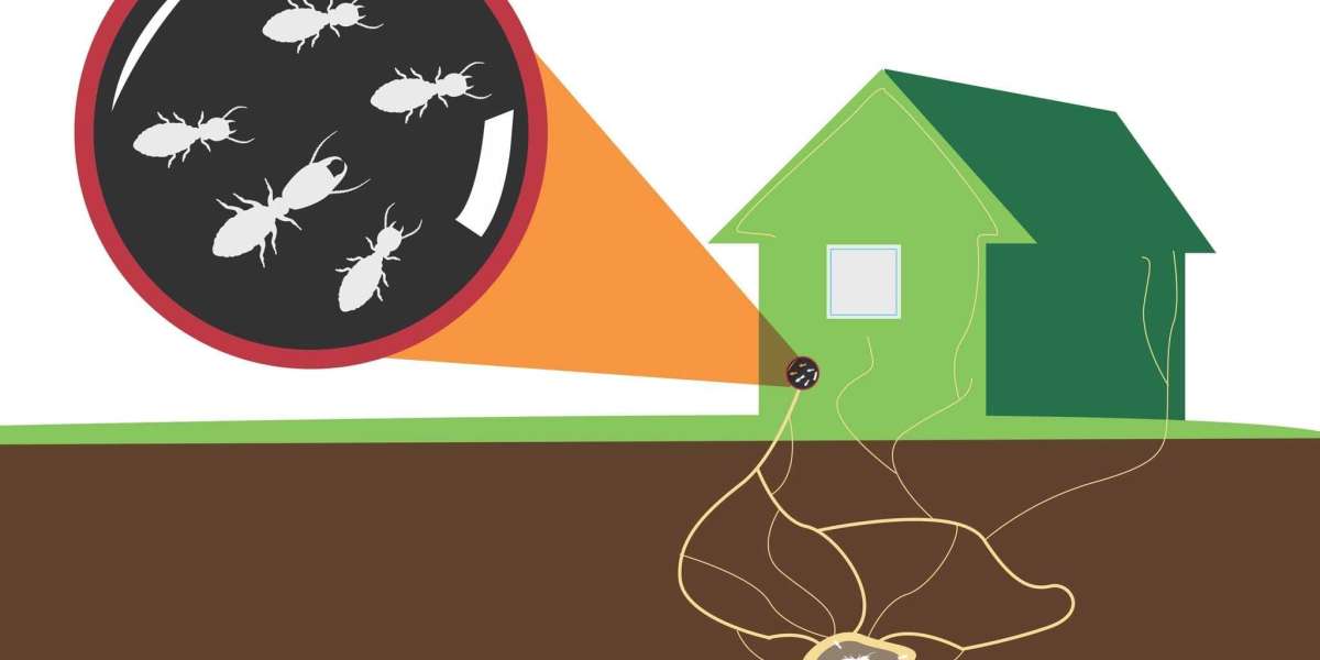 Unveiling the Secrets of Effective Termite Control and Treatment by Professional Services