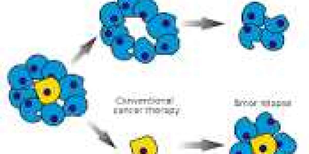 Cancer Stem Cell Therapy Market Overview by Advance Technology, Future Outlook 2030