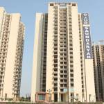 Gaur Saundaryam Profile Picture