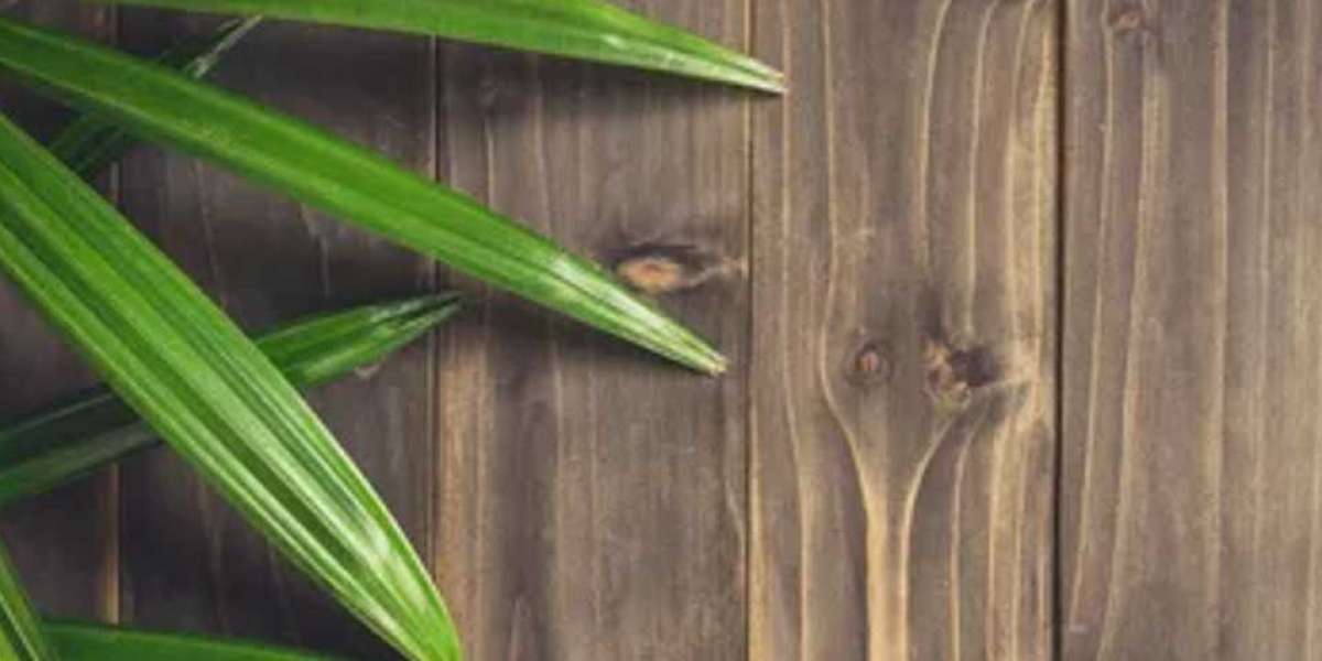 dpsports casino mobile app