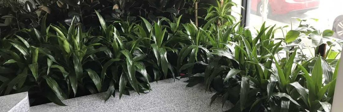 Luwasa Indoor Plant Hire Cover Image