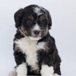 Elmer07 Profile Picture