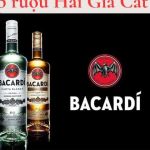 Rượu Bacardi Tại Rượu Ngoại Hải Gia Cát Profile Picture