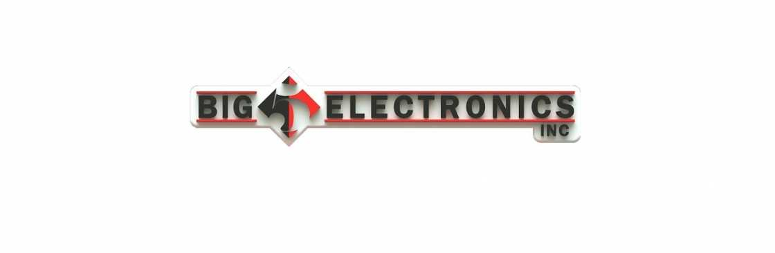 Big 5 Electronics Cover Image