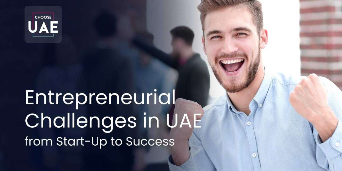 Navigating Entrepreneurial Challenges in the UAE from Start-Up to Success