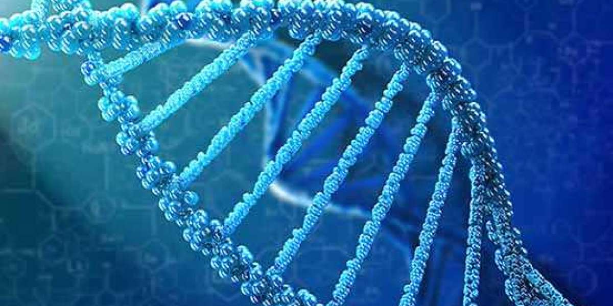 Aptamers Market Overview by Advance Technology, Future Outlook 2030
