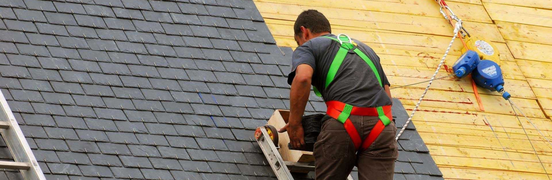 vivian phillips Cover Image