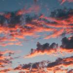 Jack Json Profile Picture