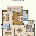 medallion nova Profile Picture