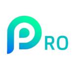 Professionaler Profile Picture