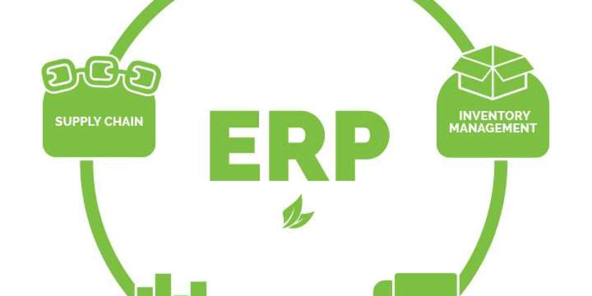 Why businesses need an ERP system
