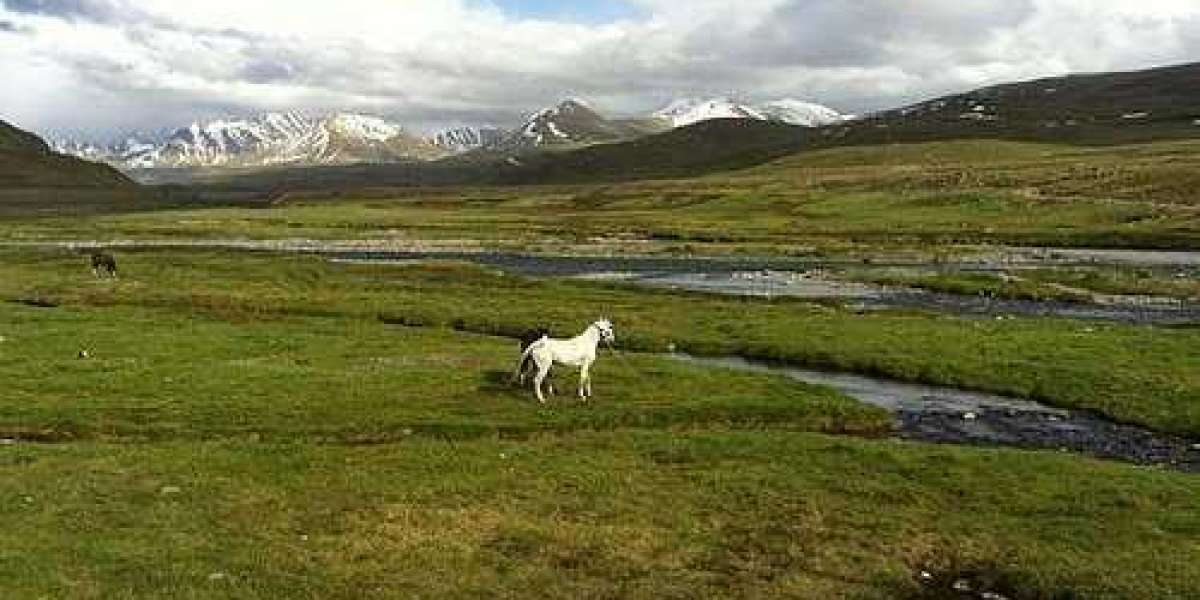 Embark on a Journey: Unveiling Skardu Hidden Beauties