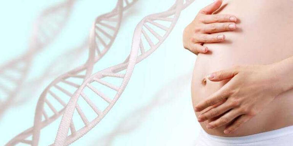 Are paternity DNA tests expensive?