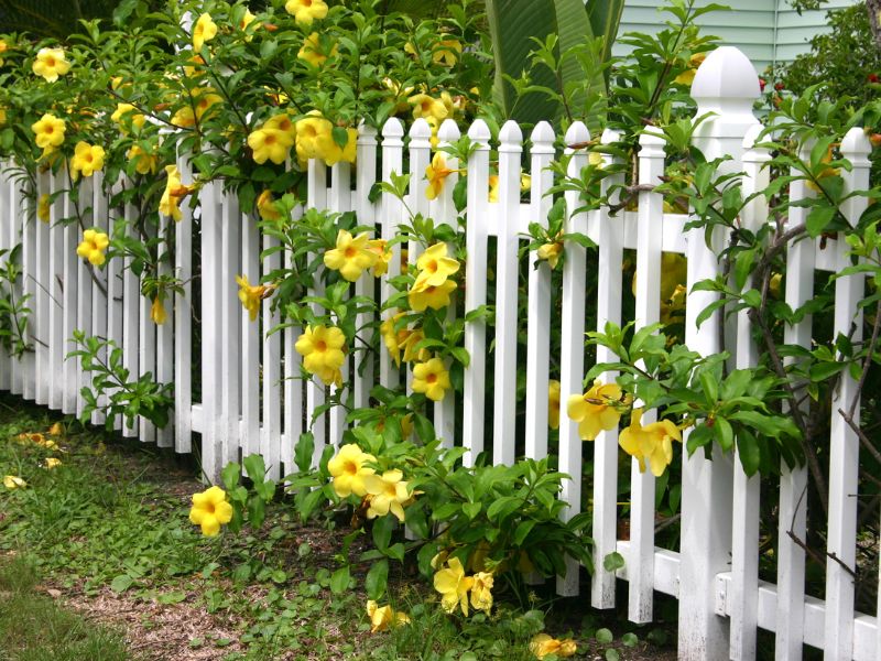 Exploring the World of Wrought Iron Fencing: Top Recommendation