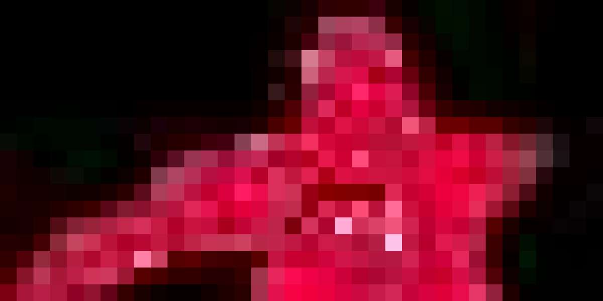 Chotu Taj Result: Unraveling the Intricacies of a Keyword