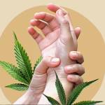 GentleWaveUS Profile Picture