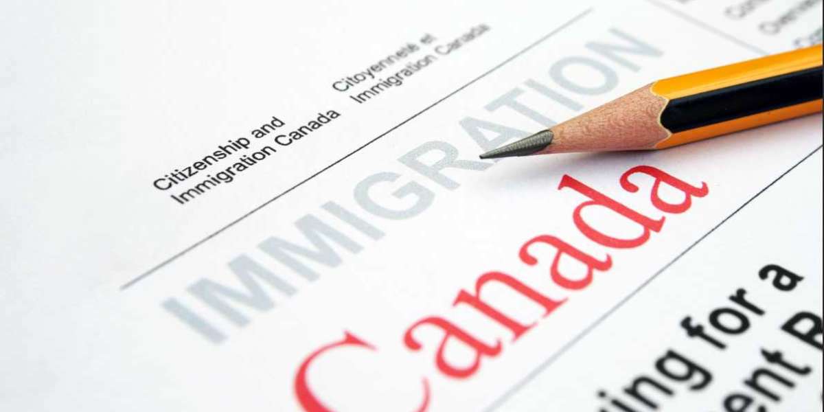 Embarking on a New Chapter: Steps to Get Canadian Citizenship