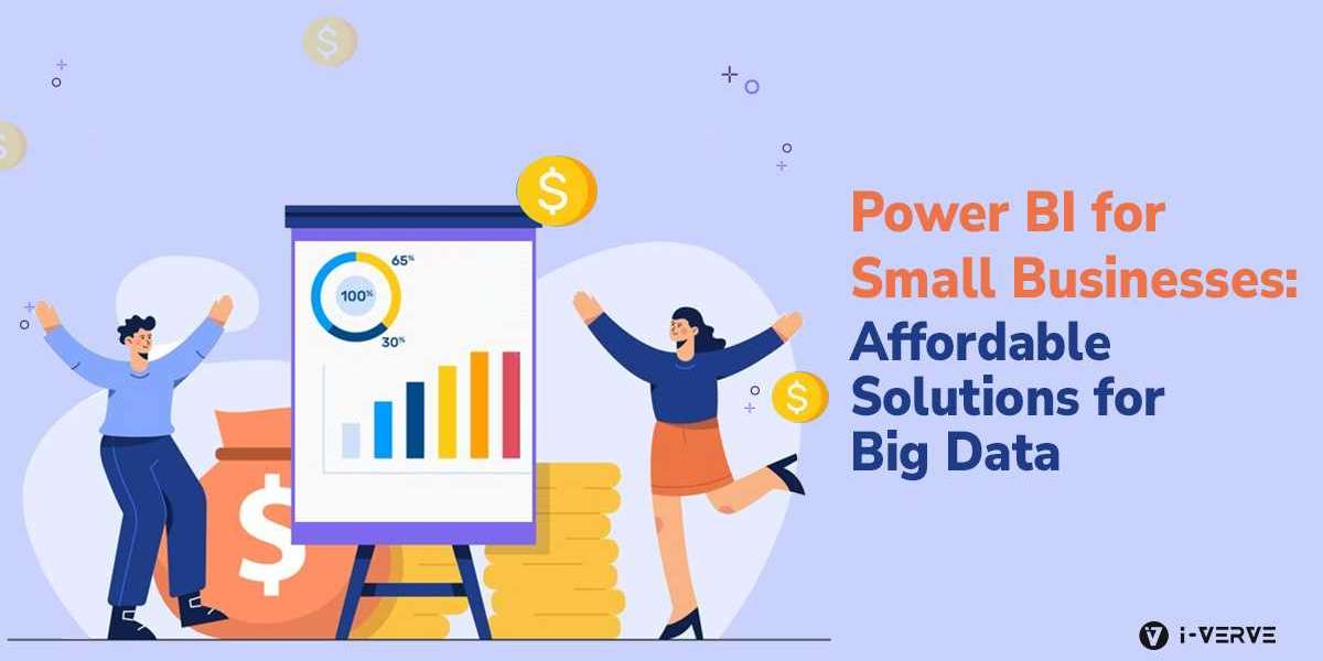 Power BI for Small Businesses: Affordable Solutions for Big Data