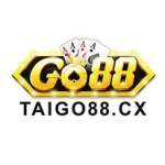 taigo88cx Profile Picture