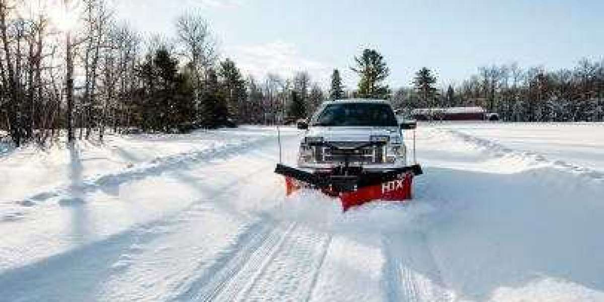 Winter Bliss: Optimal Snow Removal Services in Toronto