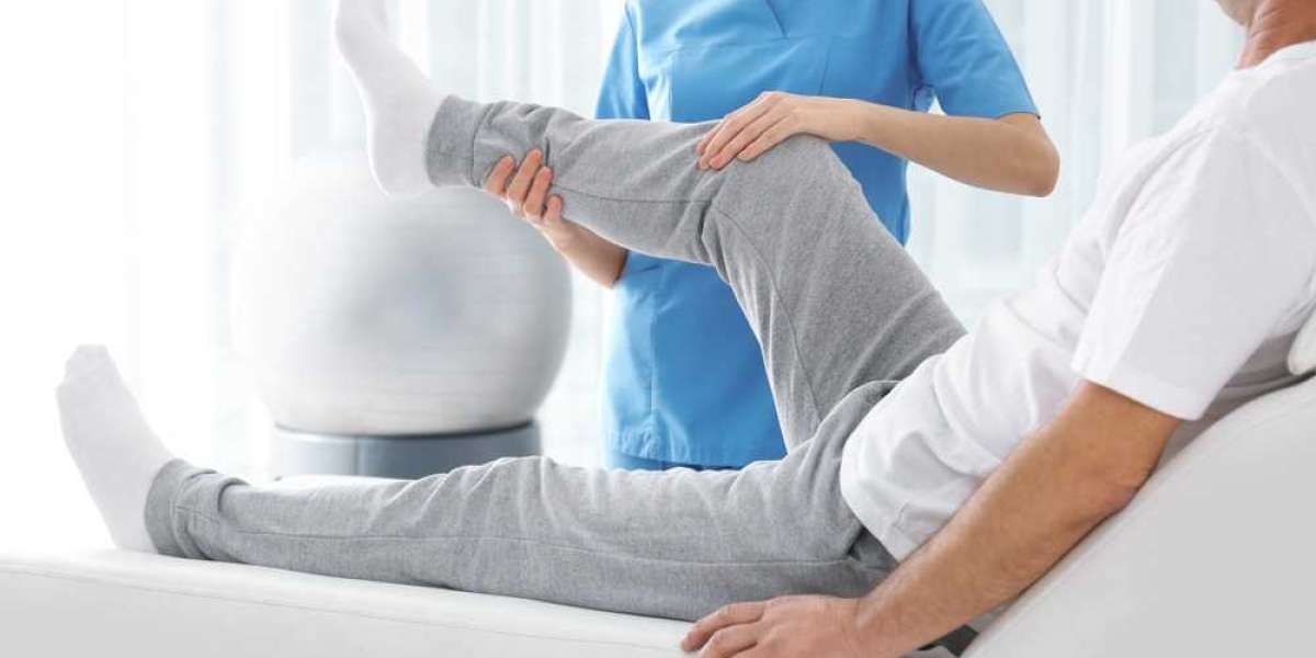 Understanding the Contrast Between Physiotherapy and Chiropractic Care