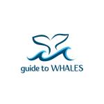 Guide To Whales Profile Picture
