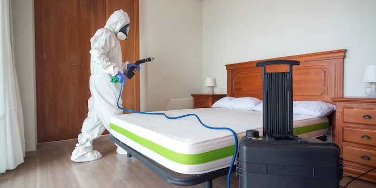 3 Ways to Avoid Bringing Bed Bugs While Moving