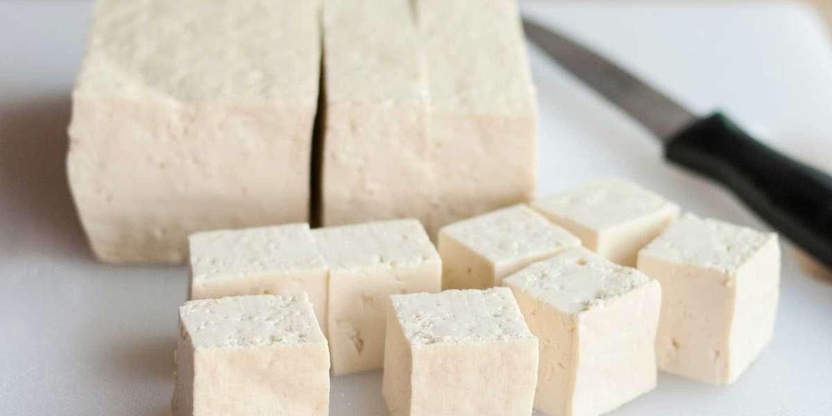 Tofu Market Size, Share, Global Industry Trends And Forecast To 2028
