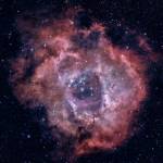 Coolk Profile Picture