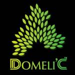Doemlic Domelic Profile Picture