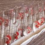 sriselvalakshmi namakkal Profile Picture