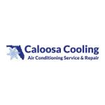 caloosacooling Profile Picture