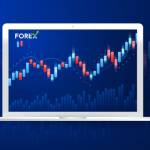 Forex VPS services Profile Picture