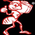 Đóng kiện gỗ Kiến Đỏ Profile Picture