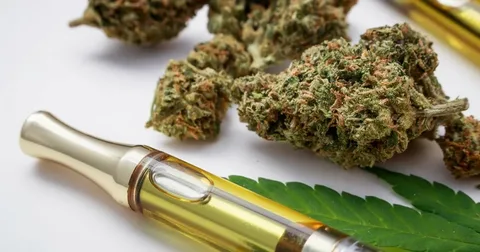 Handheld Marijuana Vaporizer Market Size - Dominance of the Leading Companies Over the Global Industry