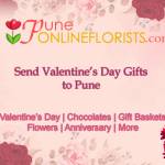 Raman Negi Profile Picture