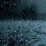 mike Anderson Profile Picture