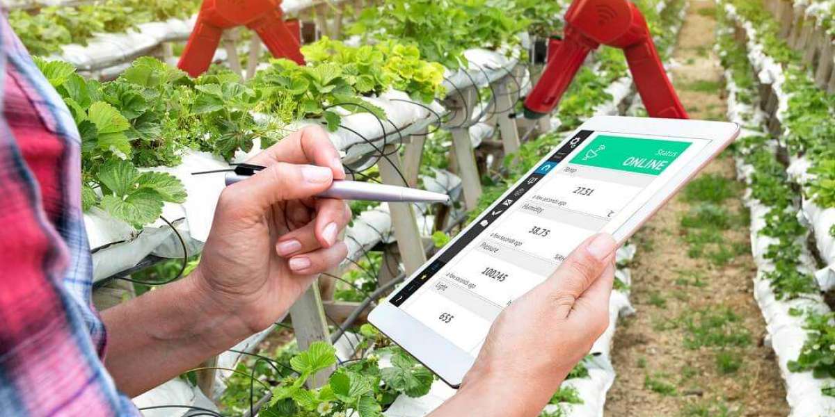 The Role of IoT Sensors in Modern Agricultural Practices