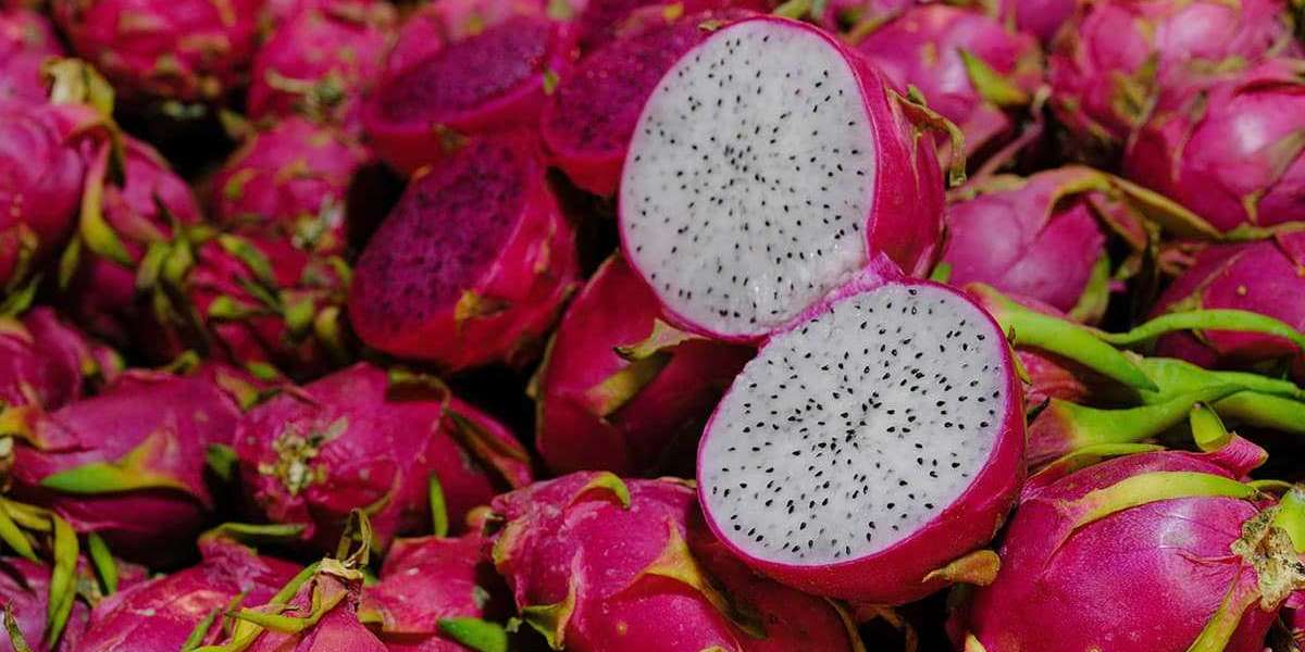 Dragon Fruit: A Delicious Solution for Asthma Management