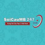 soicaumb247com Profile Picture