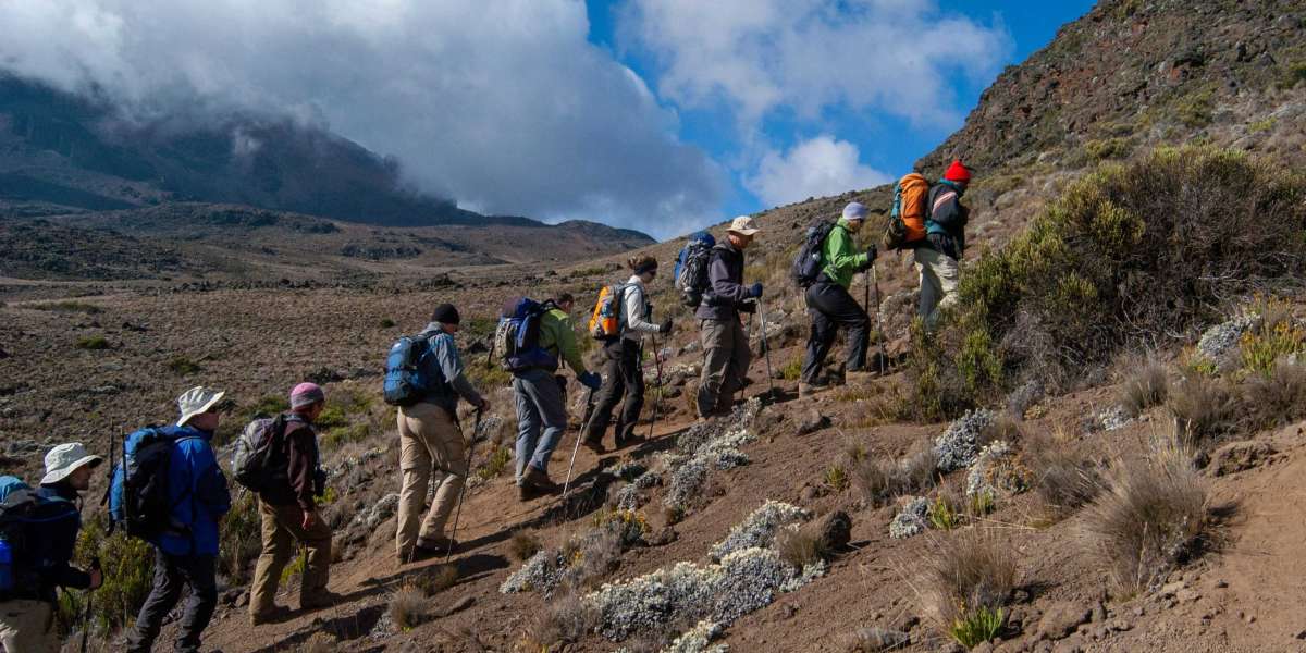 10 Reasons Why Timing is Everything When Climbing Kilimanjaro