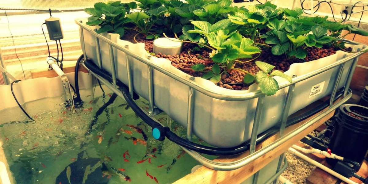 USD 1985.3 Million Forecast: Aquaponics Market's Impressive Trajectory  <br>| BMRC