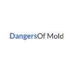 Dangers Of Mold