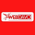web davo Profile Picture