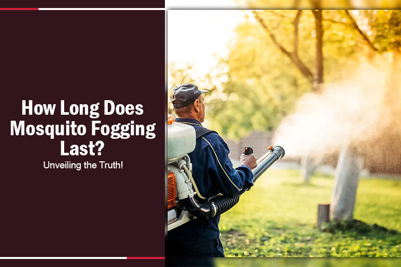 How Long Does Mosquito Fogging Last? Unveiling the Truth!