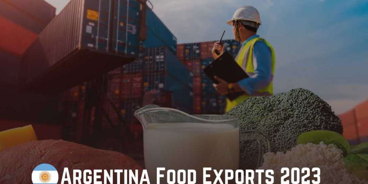 Argentina Import Data: Navigating Business Success