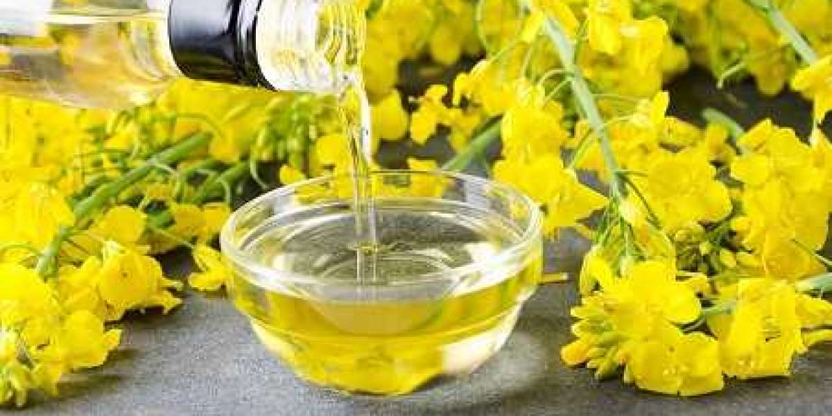 Canola Oil Manufacturing Plant Project Report 2024: Manufacturing Process, Business Plan, Machinery Requirement