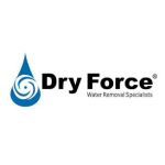 Dry Force Profile Picture