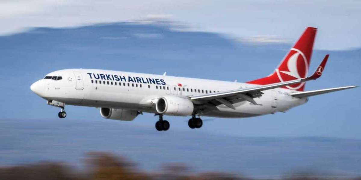 How do I get in touch with Turkish Airlines?