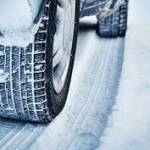 Katherine Williams Profile Picture